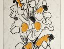 poly blom06