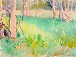 oldaqua birches