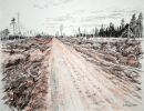 forestry too common