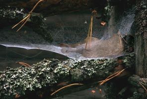 mont07