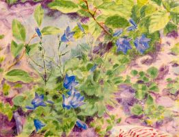 bluebells and plastic bag