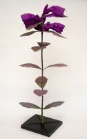 bartsia alpina